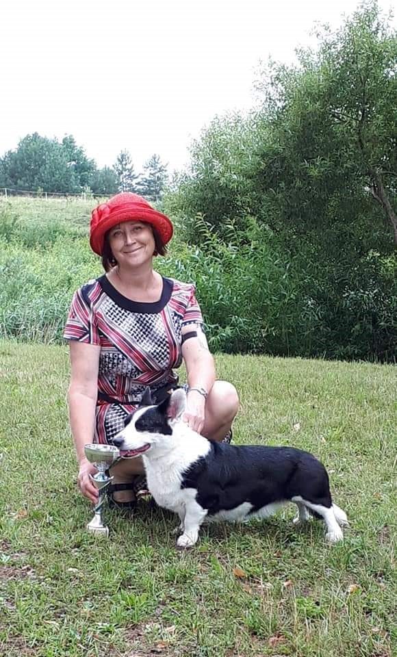 Valų korgiai į namus atneša laimę