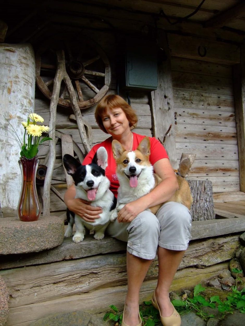 Valų korgiai į namus atneša laimę