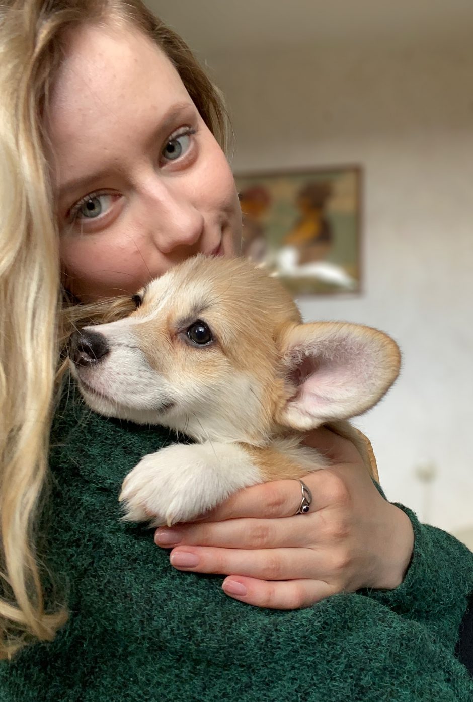 Valų korgiai į namus atneša laimę