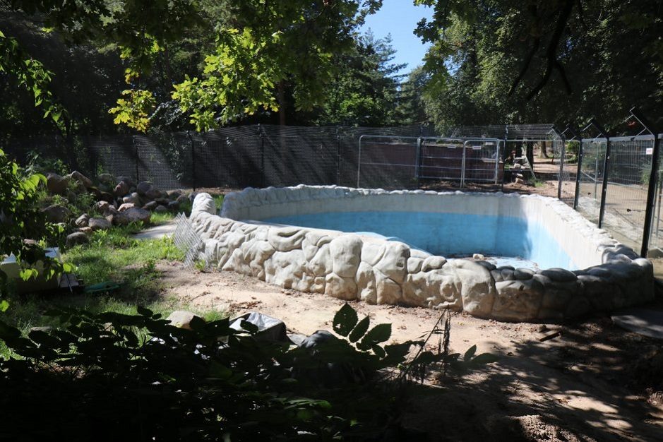 Zoologijos sodo renovacijos užkulisiai – per padidinamąjį stiklą