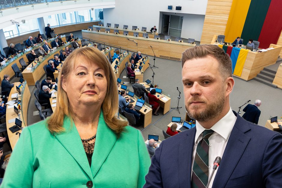 Apklausa: partijų reitinge toliau pirmauja socialdemokratai, konservatoriai