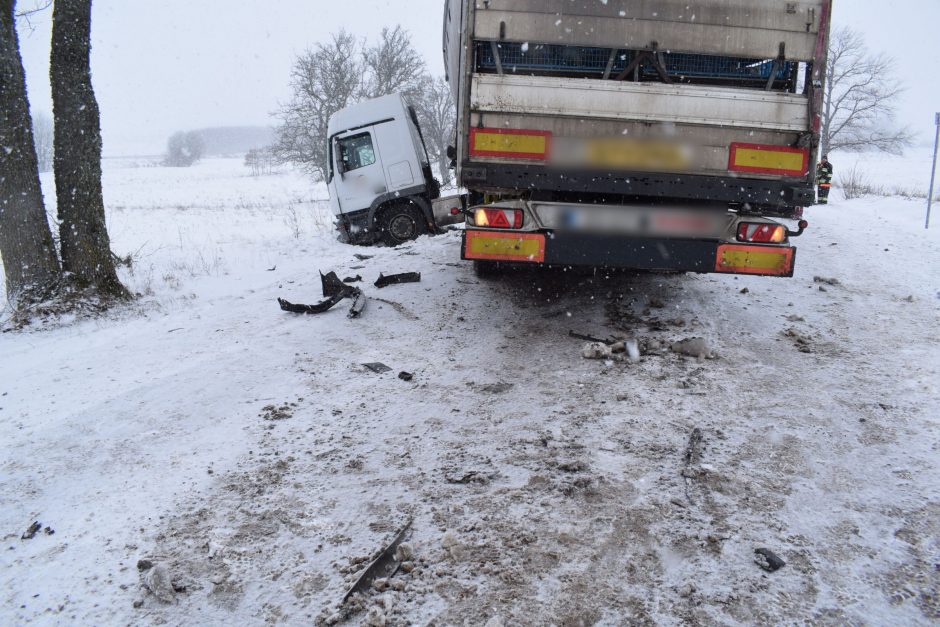 Alytaus rajone su vilkiku susidūrusio automobilio vairuotojas žuvo, moteris komoje