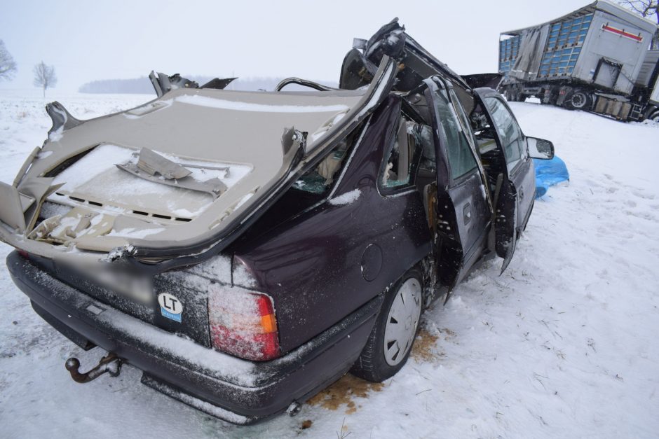 Alytaus rajone su vilkiku susidūrusio automobilio vairuotojas žuvo, moteris komoje