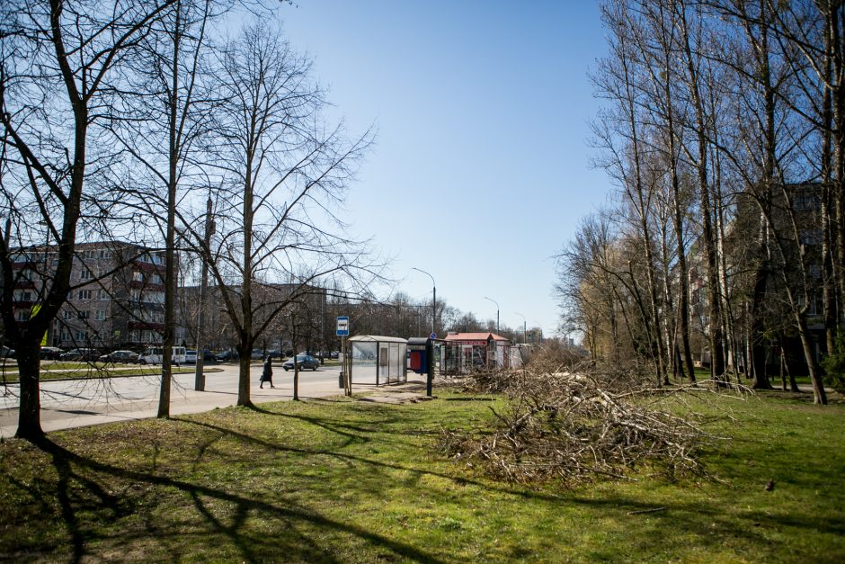 Ištiko šokas: V. Krėvės prospekte iškirto visą eilę medžių