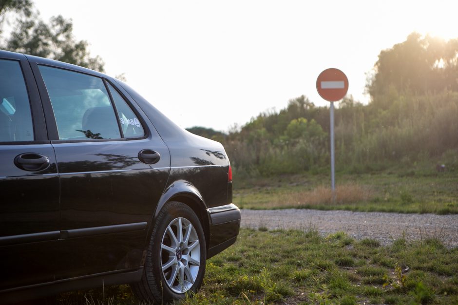 Vaizdingame gamtos kampelyje – pažeidėjai: jau nubausta per 100 vairuotojų