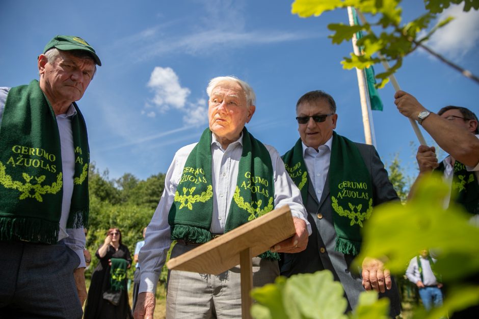 Ąžuolų giraitėje – vienu sodinuku daugiau