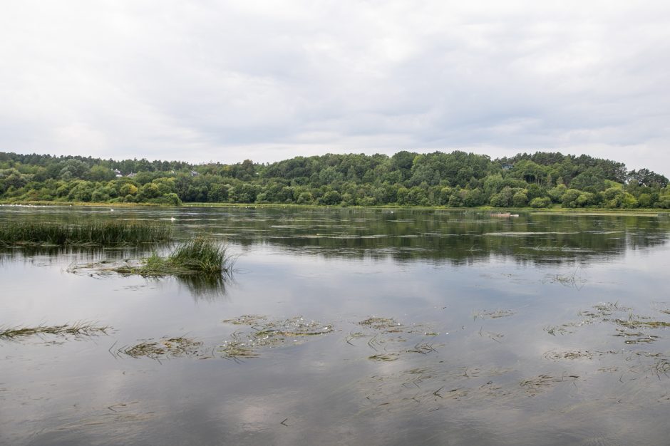 Nusekęs Nemunas gali pridaryti daug bėdų: teks stabdyti „Raketą“?