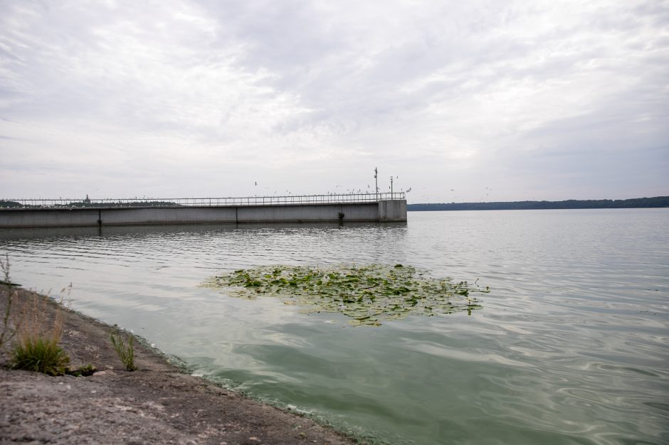 Nusekęs Nemunas gali pridaryti daug bėdų: teks stabdyti „Raketą“?