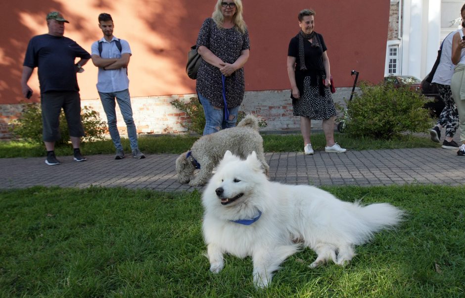 Nemokama ramybės oazė: čia nebūna kalbų apie ligas, o tai padeda sveikti