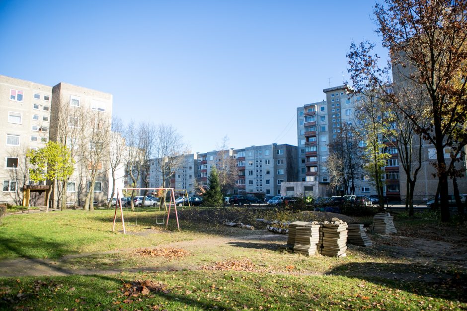 Įžūlu: Kaune medžius išpjovė be leidimų – gresia tūkstantinė bauda