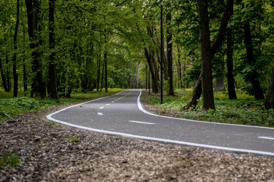 Dviračių takas Ąžuolyne: vieniems primena automagistralę, kitiems – pakilimo taką 