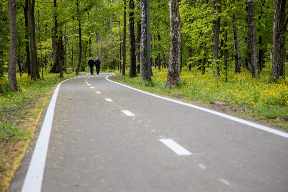 Dviračių takas Ąžuolyne: vieniems primena automagistralę, kitiems – pakilimo taką 