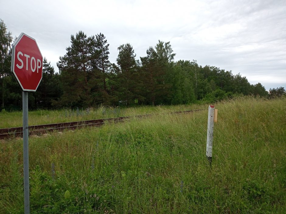 Traukinių nematyti per žolę: kas atsakytų, jei įvyktų tragedija?