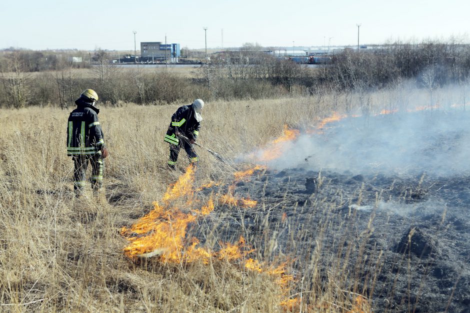 Netikruose šventiniuose laužuose pleška ES pinigai