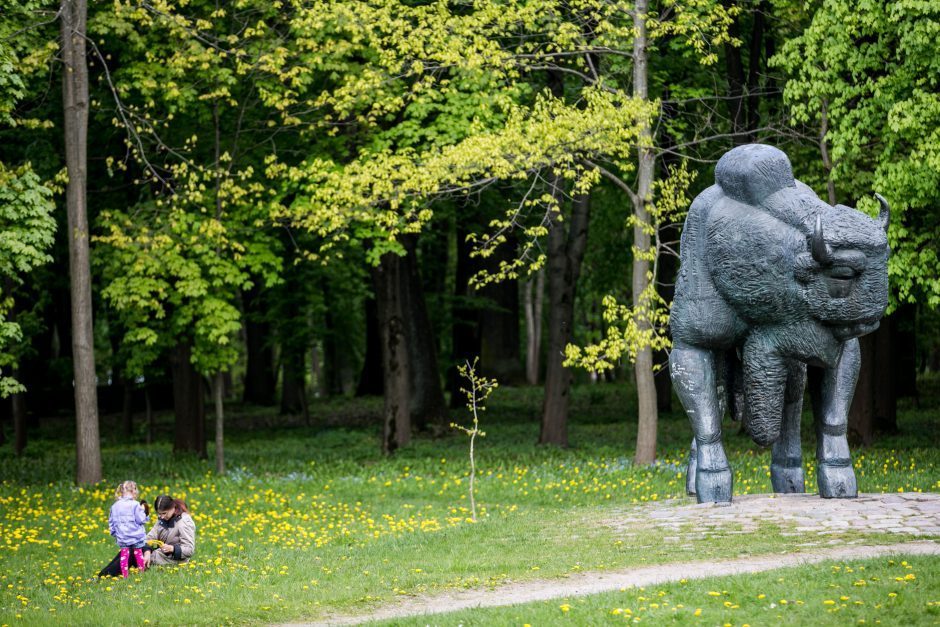 Aiškėja, kada prasidės 5 mln. eurų vertės Ąžuolyno rekonstrukcija