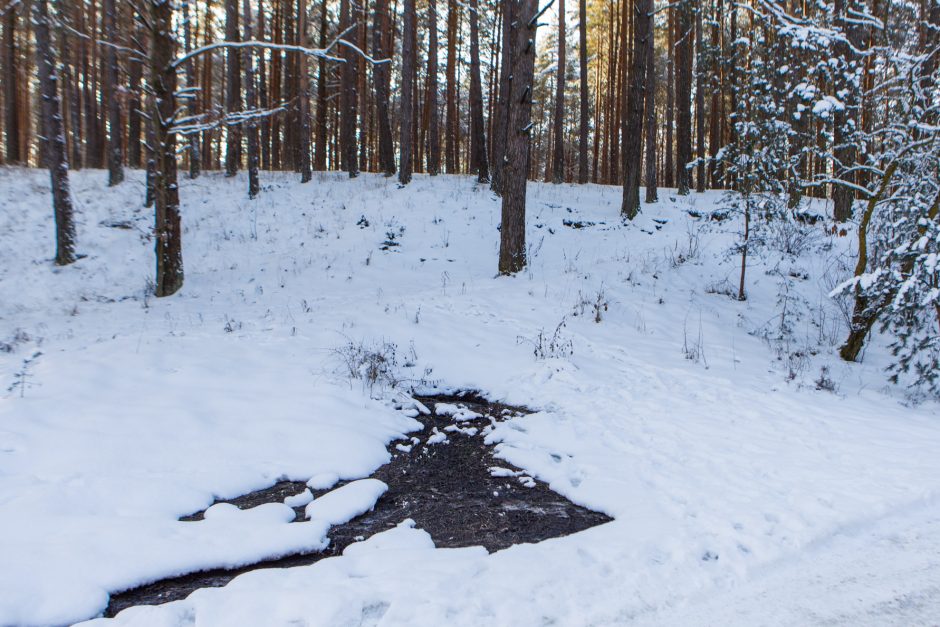 Piktinasi: porą savaičių bėga nuotekos, kelias virto čiuožykla