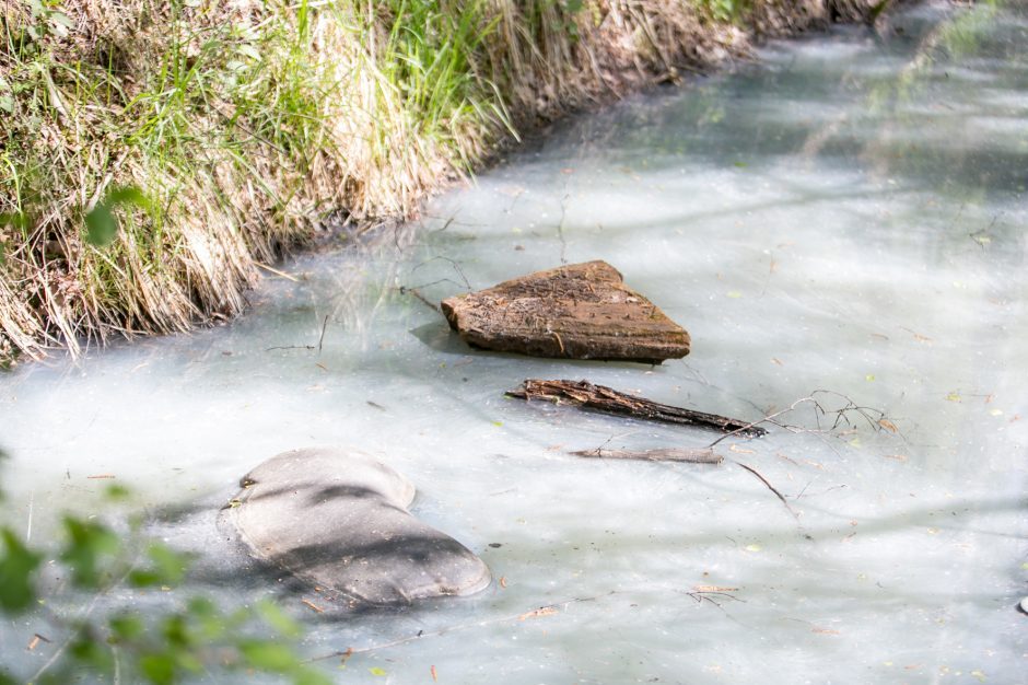 Raseinių rajone klijais užterštas Verdėlupio upelis?