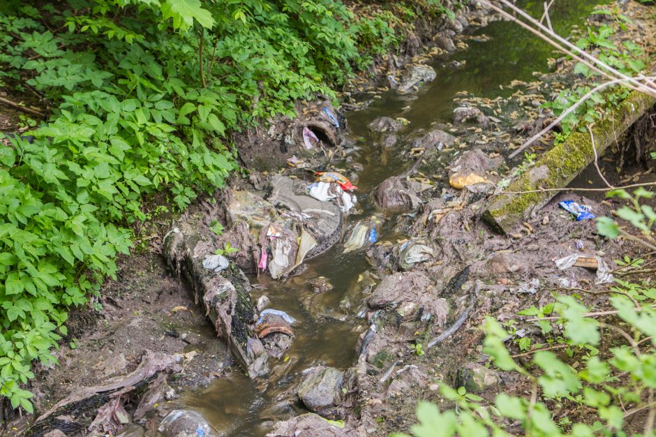 Aleksotiškiai: kovojame, kad šuns š... būtų surinkta, o čia gyvename su šiukšlėmis