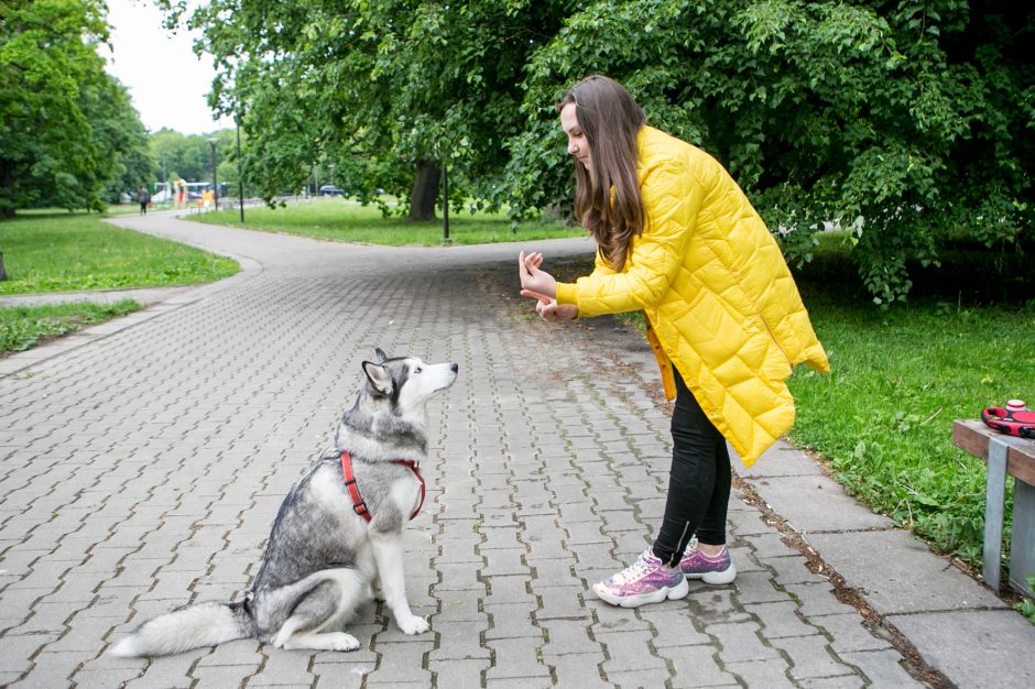 Deila, nutiesusi tiltą į tylos pasaulį