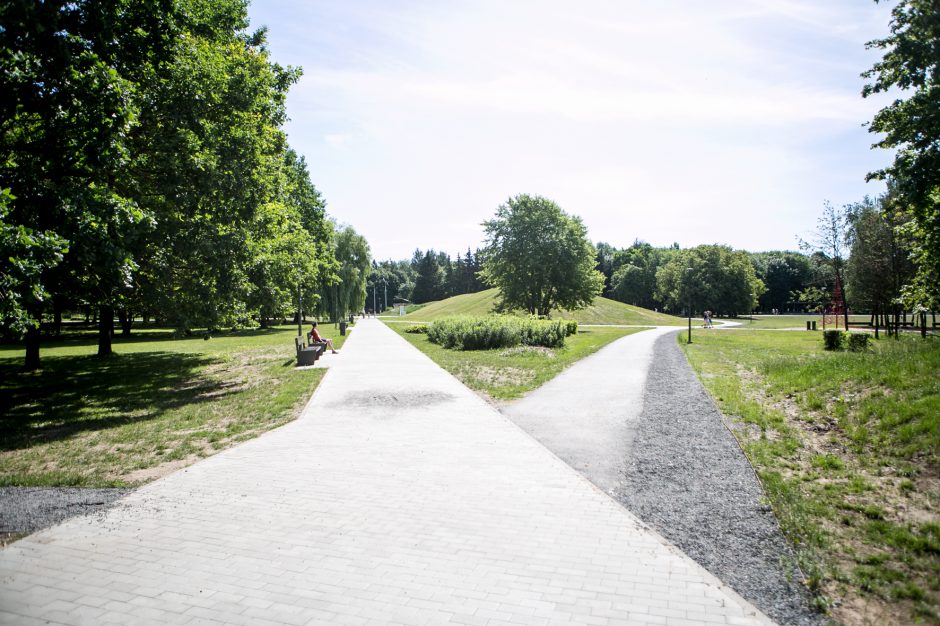 Kodėl atnaujintame parke džiūsta medžiai?