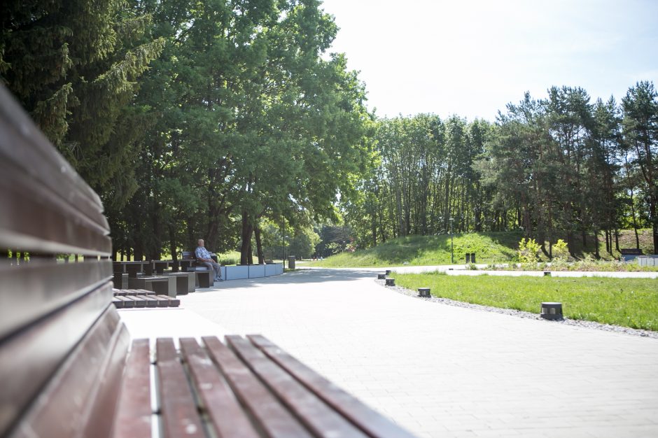 Kodėl atnaujintame parke džiūsta medžiai?