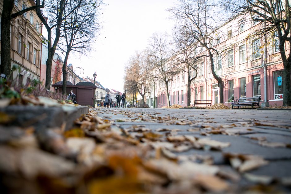 Kada tvarkys Vilniaus gatvę?