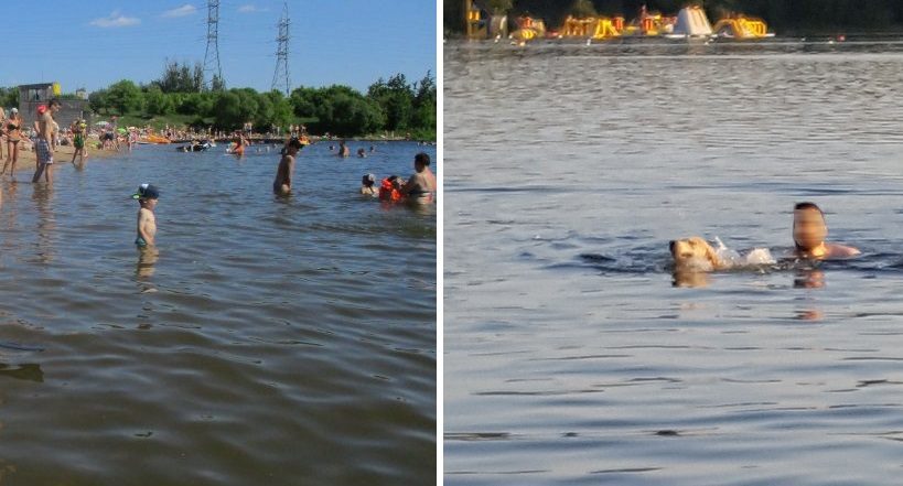 Kaunietė stebisi: kodėl Lampėdžio ežere vaikai priversti maudytis su šunimis?