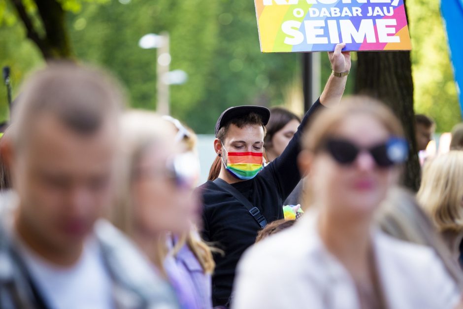 Nepavyko Seime, todėl mėgina tik sostinėje: ką apie „laisviečių“ planą mano patys homoseksualai