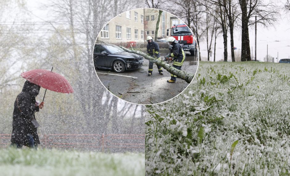 Orų šėlsmas pridarė daug bėdų: virtę medžiai trukdė eismui, aplamdė automobilius