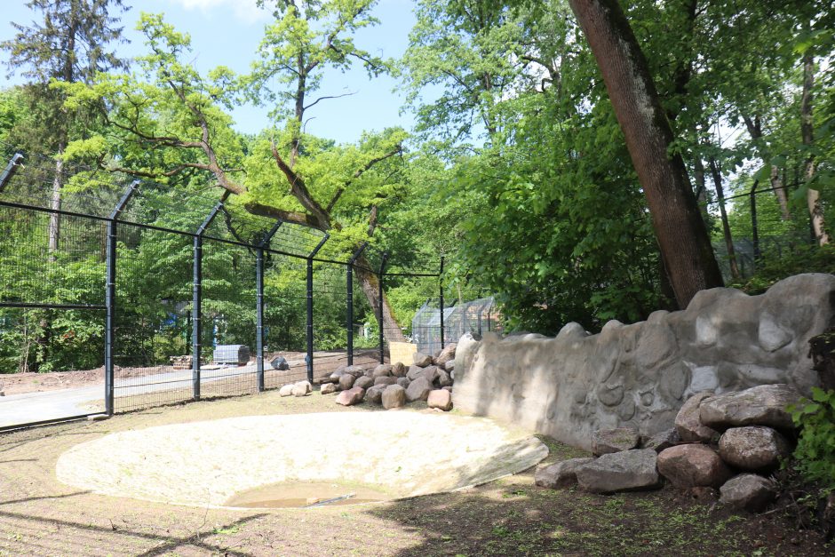 Zoologijos sodo renovacijos užkulisiai – per padidinamąjį stiklą