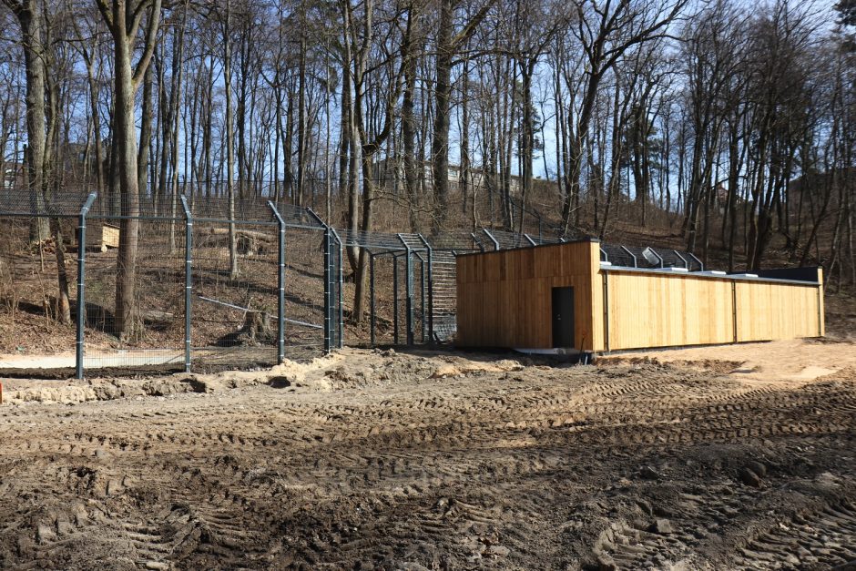 Zoologijos sodas praneša: renovacija jau įpusėjo