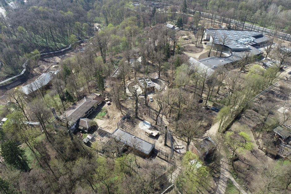 Jau aišku, kada atsidarys Zoologijos sodas: pasitiks naujais gyvūnais, apžvalgos bokštu