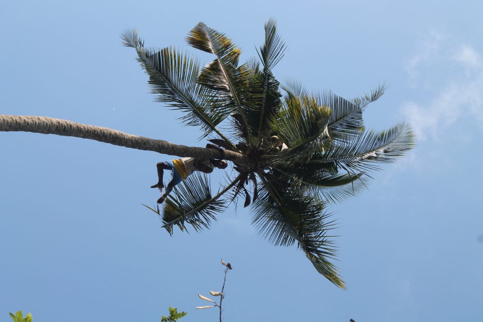 Aistra keliauti mokytoją nuvedė į Zanzibarą: tai neįkainojama patirtis!