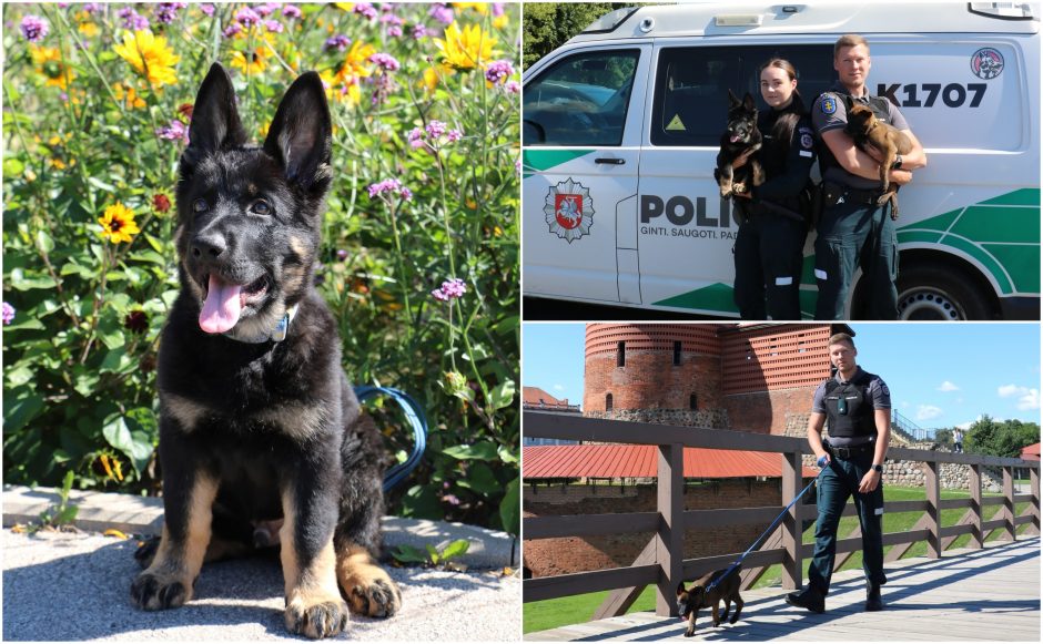 Kauno policijoje darbus pradeda širdis tirpdantys pareigūnai