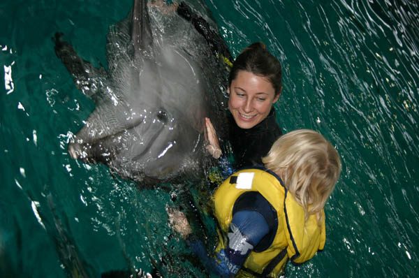 Delfinų terapiją Klaipėdoje plėtos trys institucijos