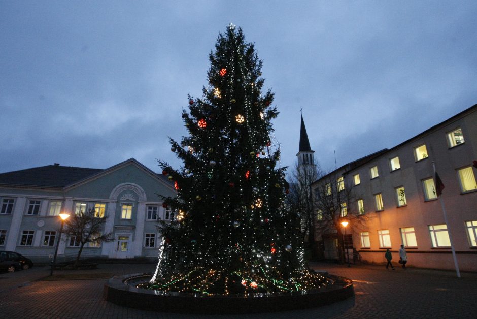 Po Klaipėdos apskritį – lankyti eglučių