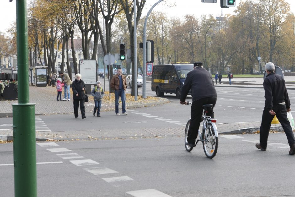 Darnaus judumo metai – žingsnis į priekį