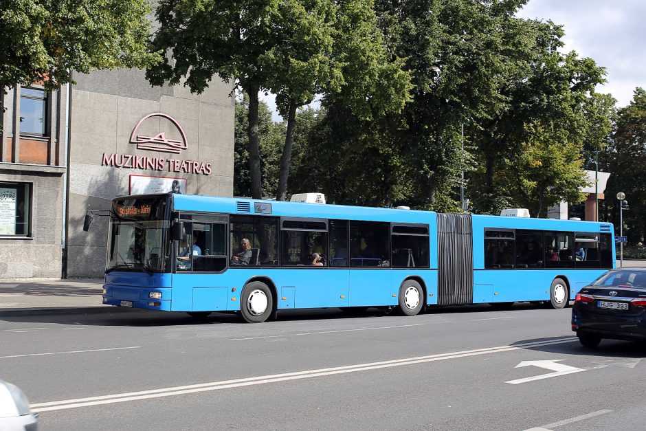 Uostamiesčio gatvėse – mėlyni autobusai