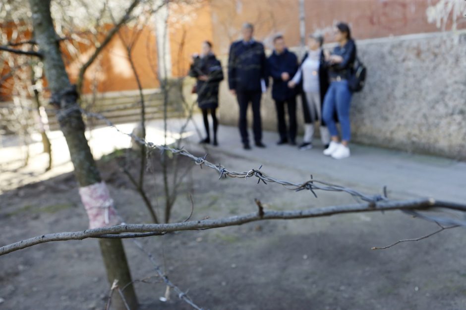 Žvejybos uosto kvartale – kaimynų anarchija