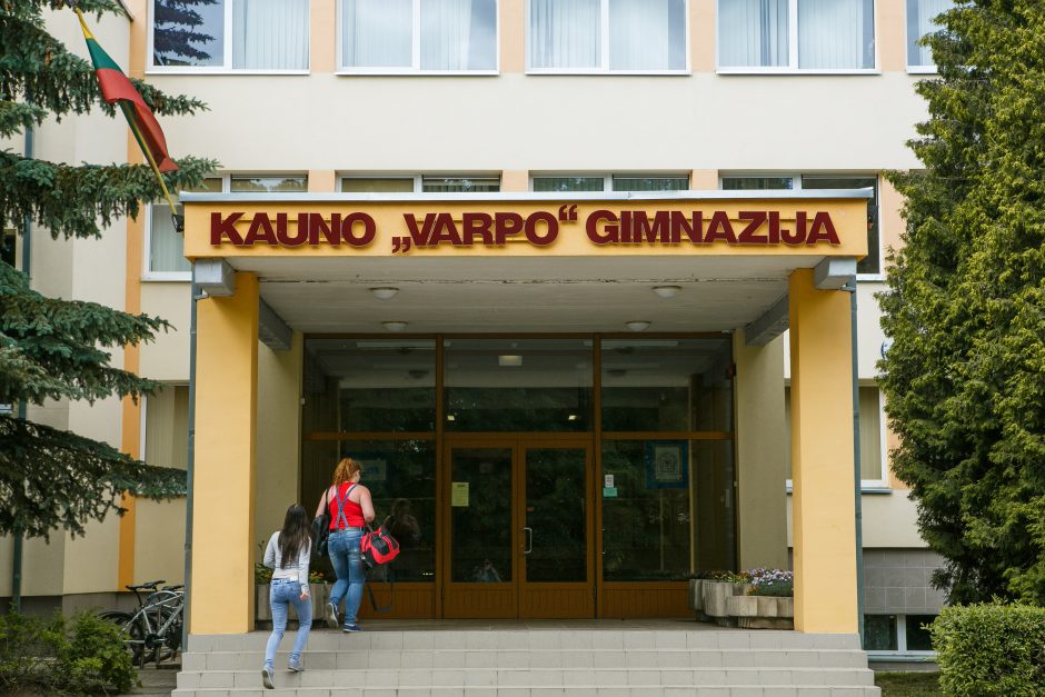 „Varpo“ gimnazijai vadovaus I. Bagdonė