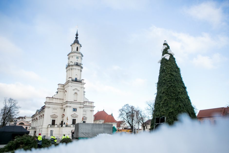 Paaiškėjo, kas diriguos Kauno Kalėdų eglės įžiebimo renginiui