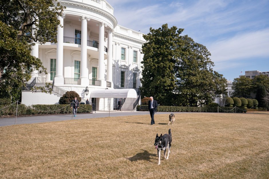 J. Bideno šunys Baltuosiuose rūmuose nepritapo