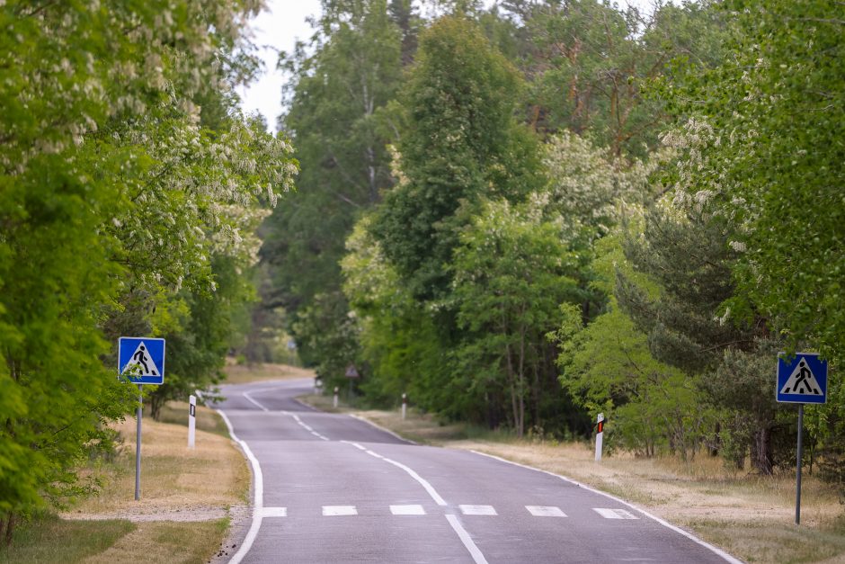 Pavasarį Smiltynėje prasidės 10 km ilgio kelio atkarpos rekonstrukcija