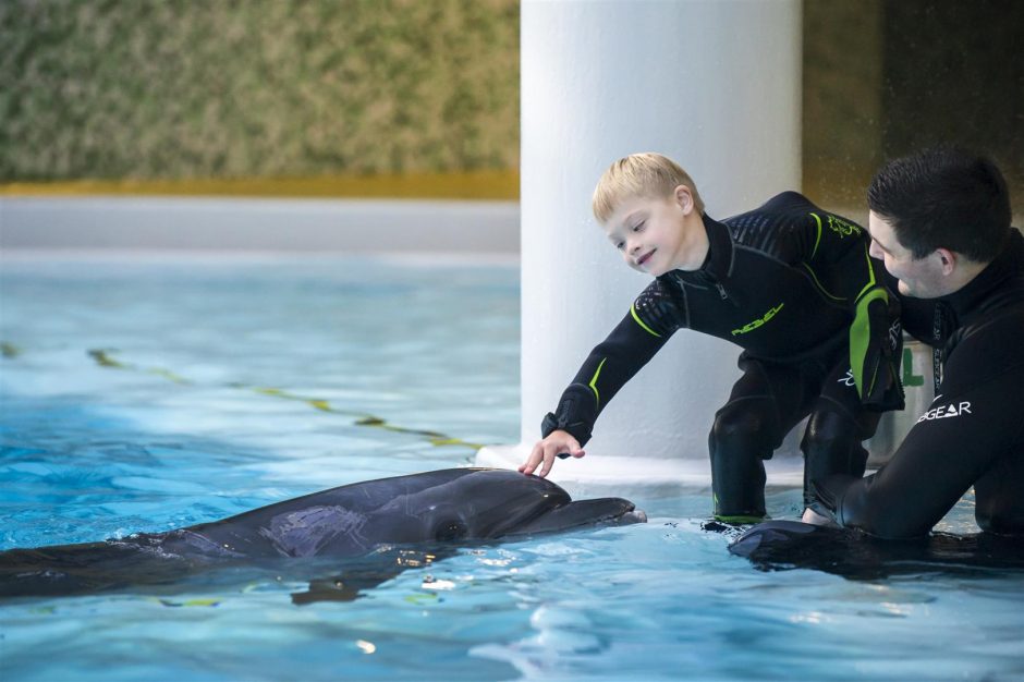 Prasidės registracija į delfinų asistuojamą terapiją