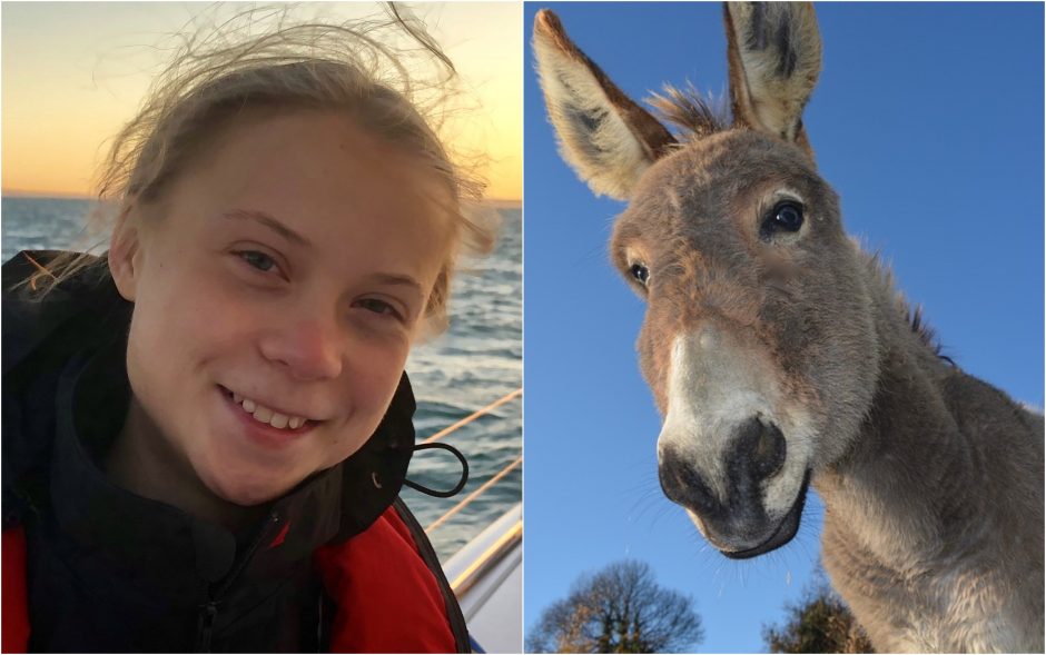 Klimato aktyvistei G. Thunberg pasiūlyta keliauti asilu