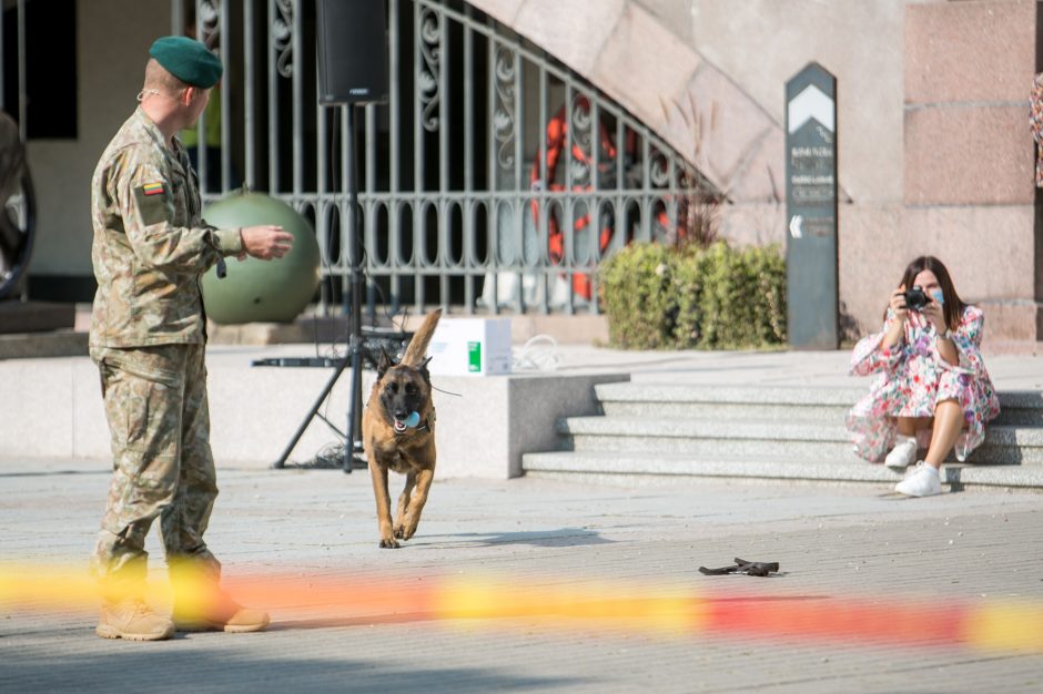 Karo muziejuje – moksleivių pažintis su tarnybiniais keturkojais