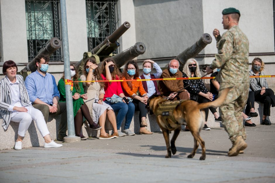 Karo muziejuje – moksleivių pažintis su tarnybiniais keturkojais