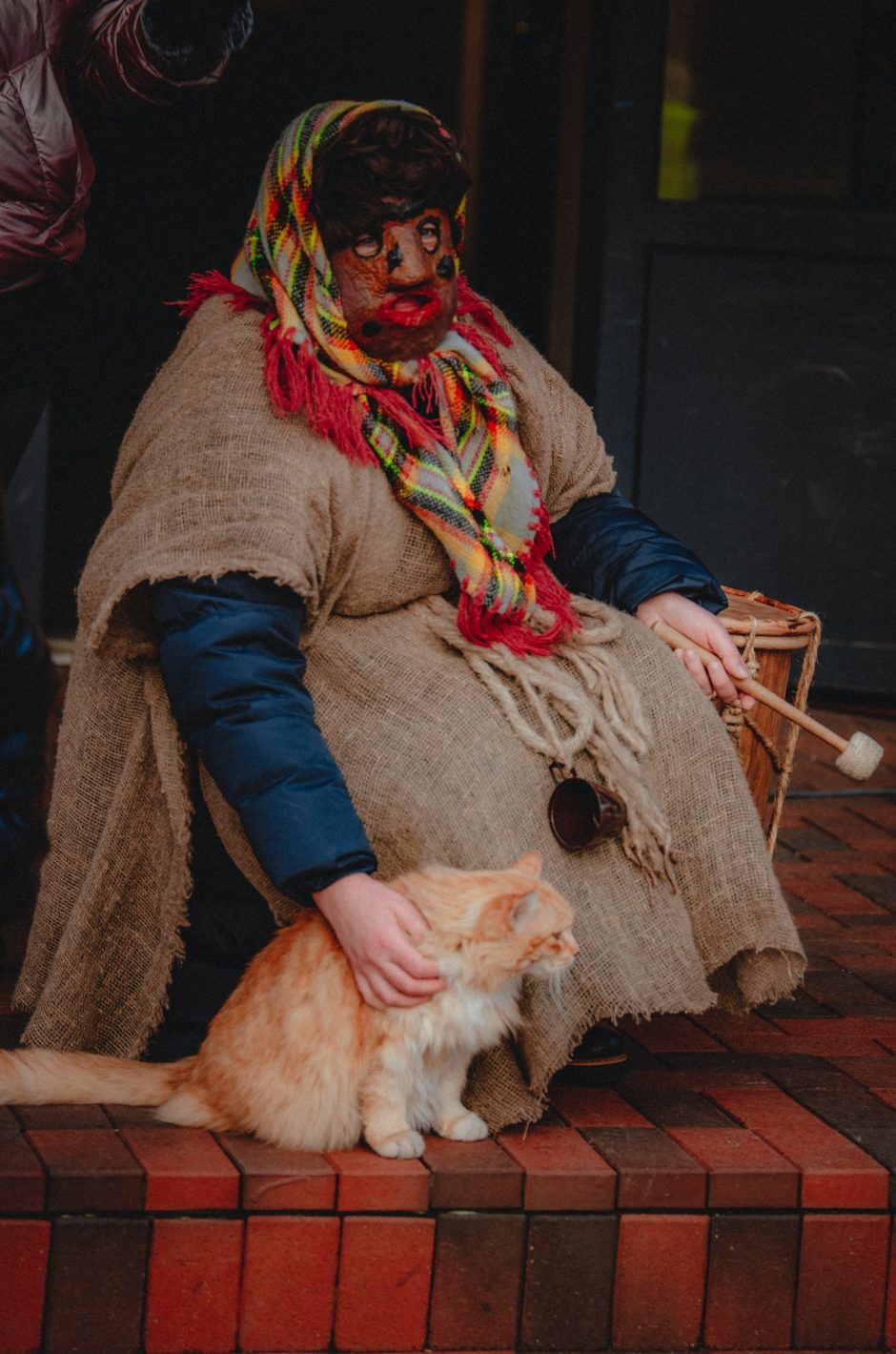 Aktyviausias švenčių dalyvis – katinas