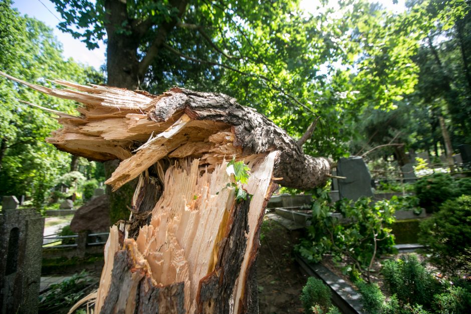 Audros padariniai Eigulių kapinėse: vaizdas – kaip po karo