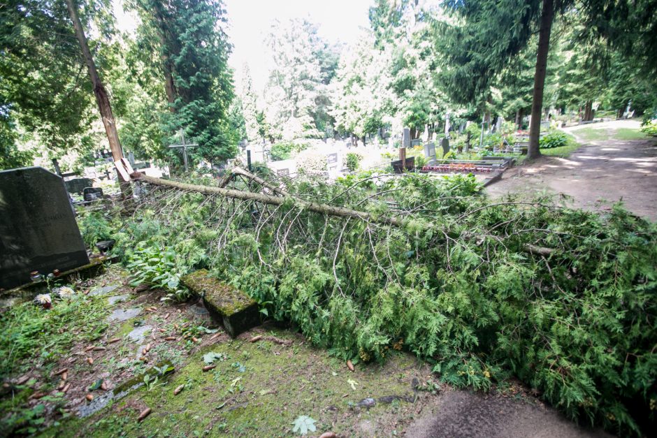 Audros padariniai Eigulių kapinėse: vaizdas – kaip po karo